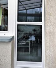 insekten-frei gmbh Bild 1