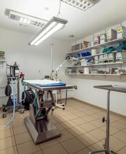 Clinique vétérinaire de Cognac - Sevetys image 14