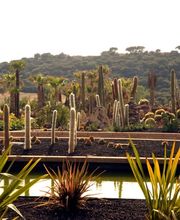 DESERT CITY 225074897_0001_20170908(1).jpg