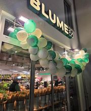 BLUME2000 München Pasing Bild 2