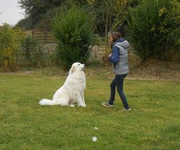 LE BRAY BOCAGE image 3