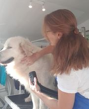 OCEAN TOILETTAGE image 5