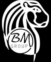 BM Assurances image 4