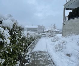AZ Garten+Haus Service GmbH Bild 6