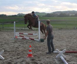 Les Ecuries de la Joux Bild 4