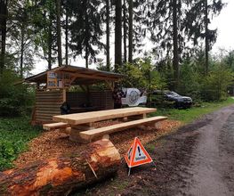 Entreprise forestière Daniel Ruch SA Bild 7