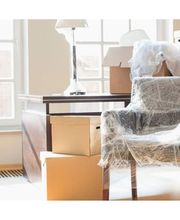 Elefanten Service Bild 3