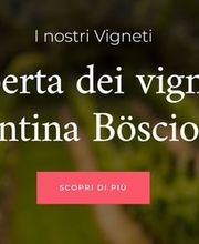 Cantina Böscioro Bild 9