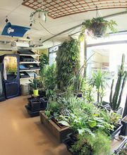 Hydro et culture St malo image 9