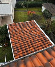 PBM Carvalho image 8