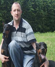 Amis Dogs 76 image 12