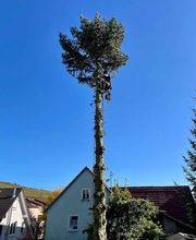 Gartenpflege & Landschaftspflege Sommer Bild 4