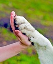 PsicoArte. Delia Murias. Terapia Gestalt. Arteterapia. Psicóloga en Tenerife. imagen 8