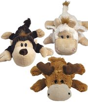 AboutPets24 Bild 6