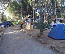 camping-cala-nova-parcelas-03.jpg