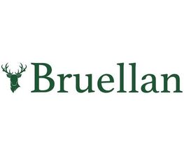 Bruellan SA Bild 1