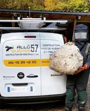 Allô Guêpes 57 image 1