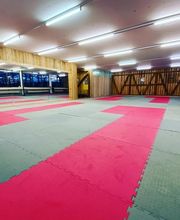 Krav Maga Illnau Effretikon/Karate-Do Basilisk Bild 1