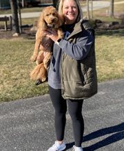 Dog Guard Midwest image 3