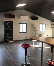 Celsius Vadala image 13