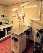 East Hampton Veterinary Group image 5