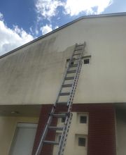 Felten Bernard image 12