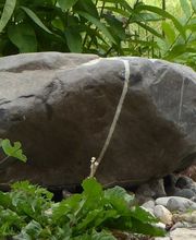 Lumen Bestattungsdienst Bild 4