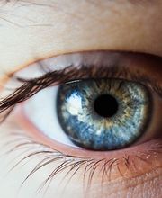 Optima Klinik Dr. Holzschuh Bild 4