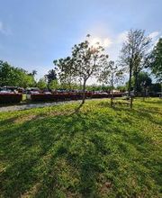 Camping Italia Lido immagine 15