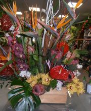 Florilege et harmonie image 4