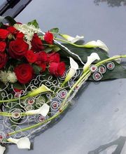 Duthil Sandrine image 1