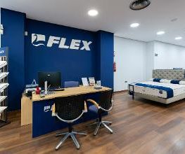 Tienda Flex by Noctalia imagen 3