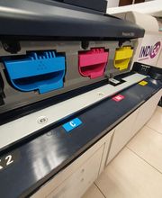 Indigo Guyane image 18