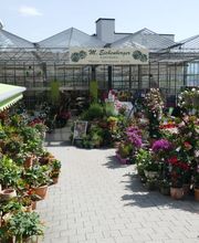 Blumen Eichenberger Oberrieden Bild 1