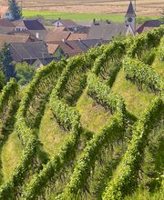 Besenwirtschaft Fasshotel Bild 3