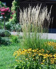 Berjamin Ets image 11