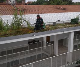 Trinkgeld GmbH Garten- & Landschaftsservice Bild 19