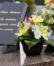 Abac image 1