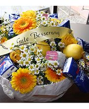 Gartenfachmarkt Richter Bild 9