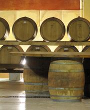 DEMAZET LA CAVE - DEMAZET VIGNOBLES image 4