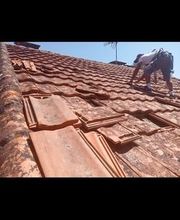 Renard Dianni image 11