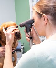 Kleintierklinik am See Bild 10