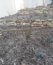 AgrEcoPaillage image 4