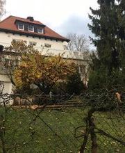 Schreinerei Wegmann Bild 4