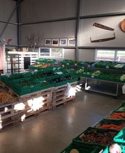 Azienda Agricola Mozzini Roberto Bild 3