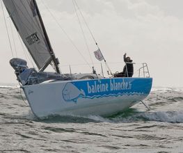 Baleine Blanche image 6