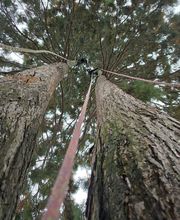 IMG-20250924-WA0014.jpg