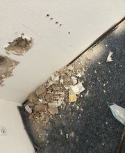 F & G Gebäudereinigung Gashi Bild 7