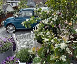 Zimmermann Flaach AG Blumen & Gartenbau Bild 9