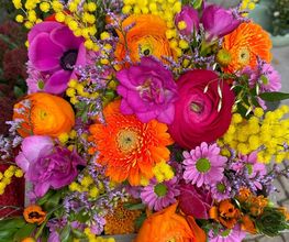 Blumen REIBOLD Bild 4
